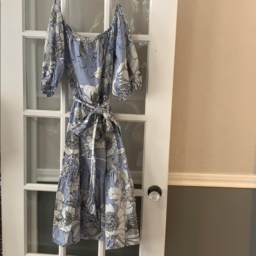 Zara dress